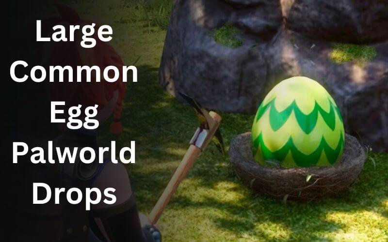 Large Common Egg Palworld Drops