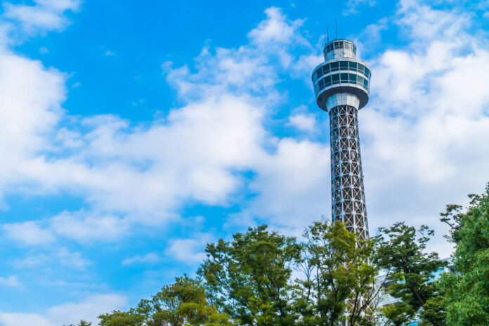 Auckland's Lesser-Known Wonders What to Visit Besides the Sky Tower