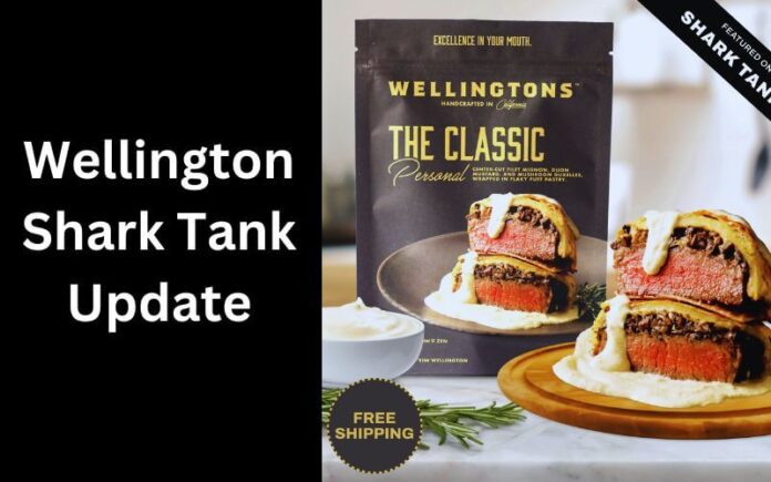 Wellington Shark Tank Update