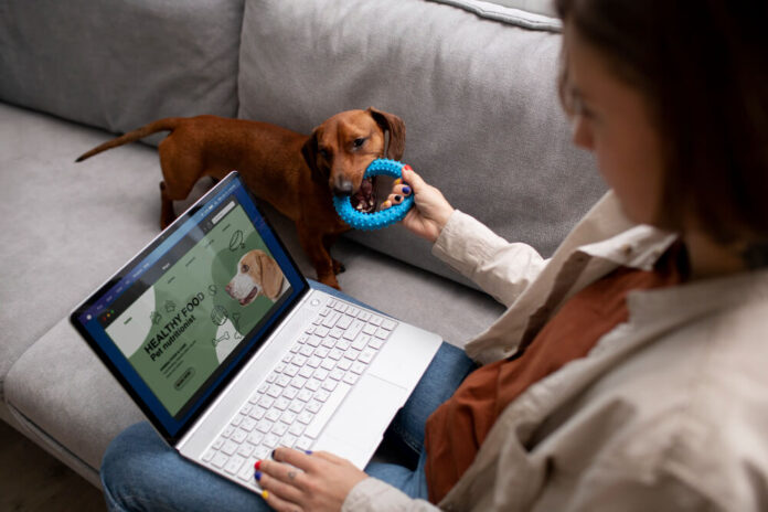 The 3 Steps To Help You Start An Online Pet Supply Store